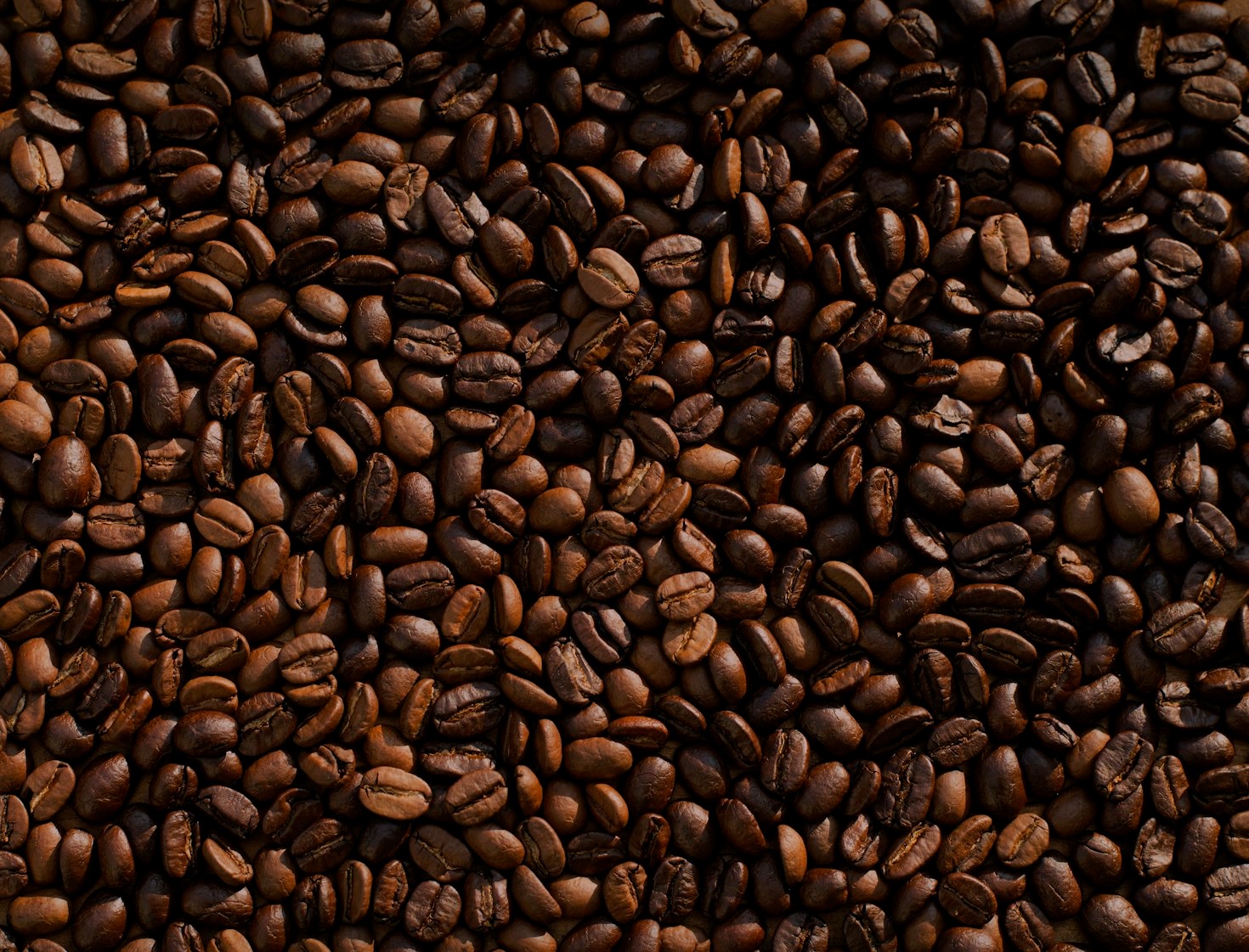 The Heritage Behind Kenyan Coffee Blends