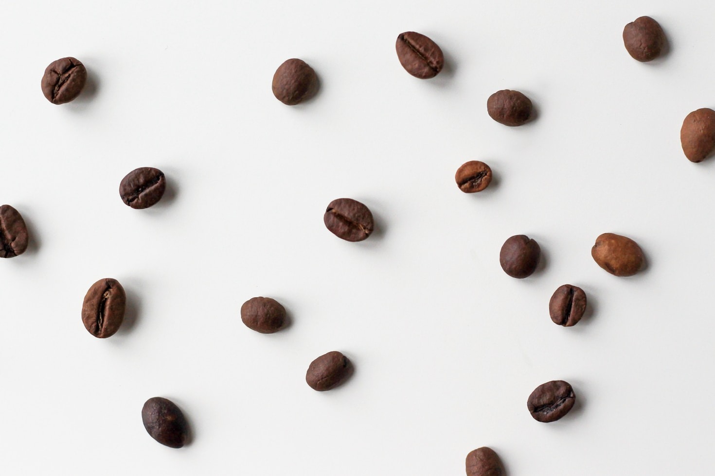 Brewing Excellence: Tips for the Perfect Cup