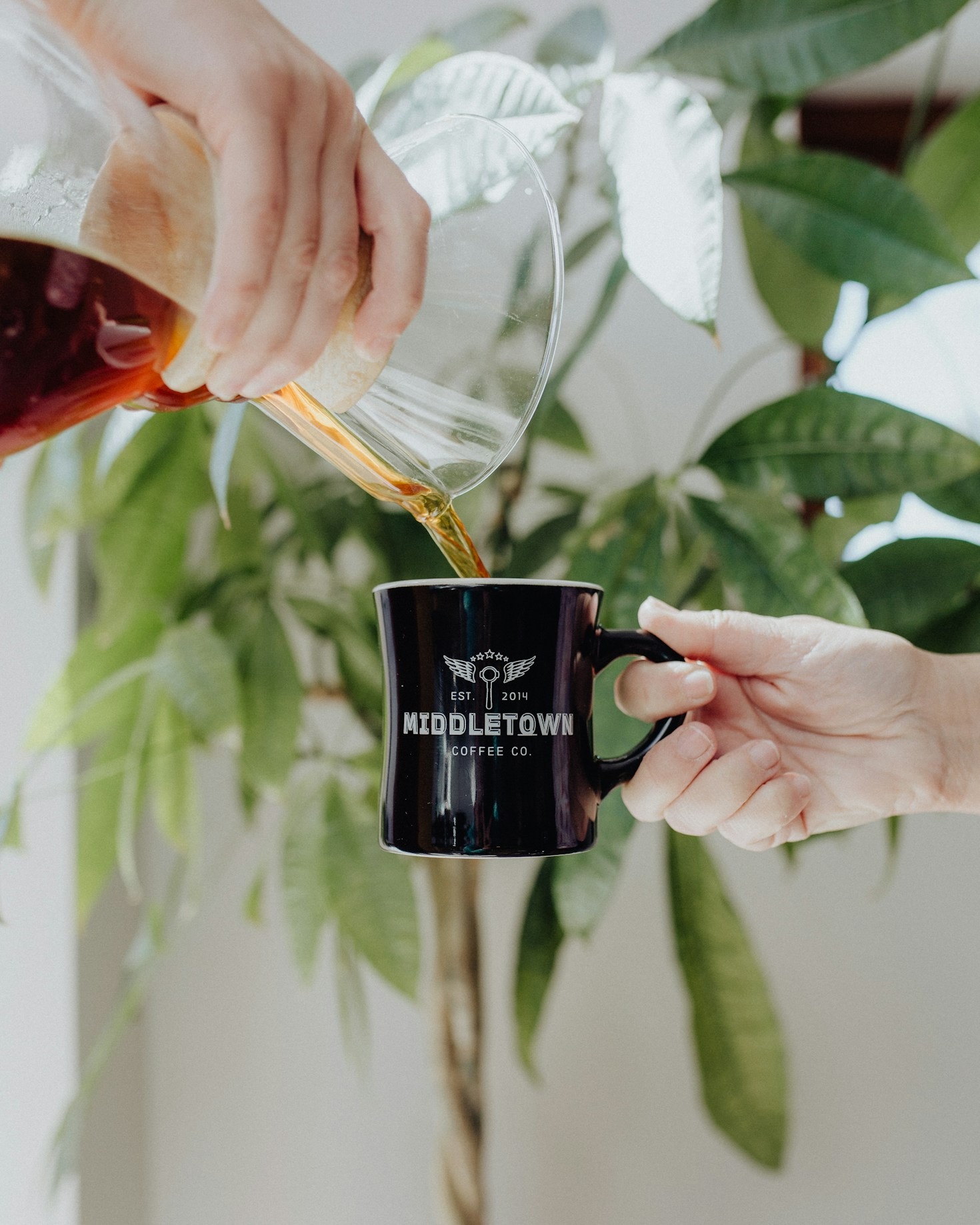 Behind the Scenes at Aryan Coffee